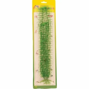 Elodia Plastik 40 Cm