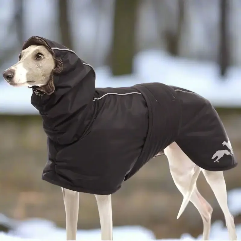 ELVIS vinterjakke for whippet og italiener