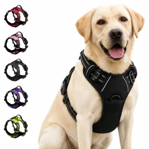 Ergonomisk hundesele – justerbar, slitesterk og komfortabel for alle hunder