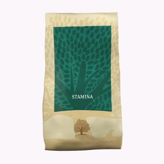 Essential foods – Stamina