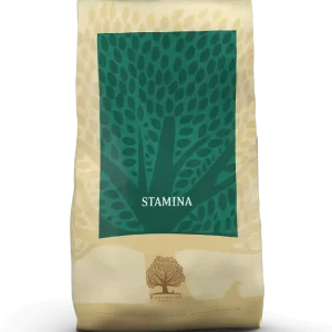 ESSENTIAL STAMINA 10KG