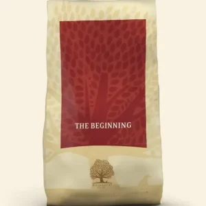 Essential – THE BEGINNING 10kg large breed