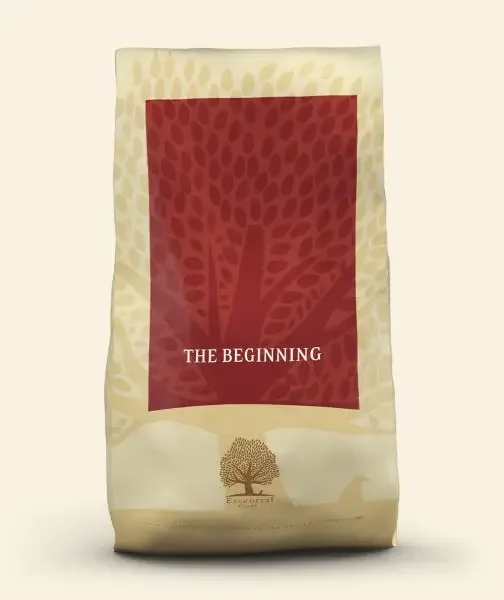Essential – THE BEGINNING 10kg large breed