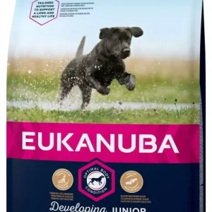 Eukanuba Junior Large Breed
