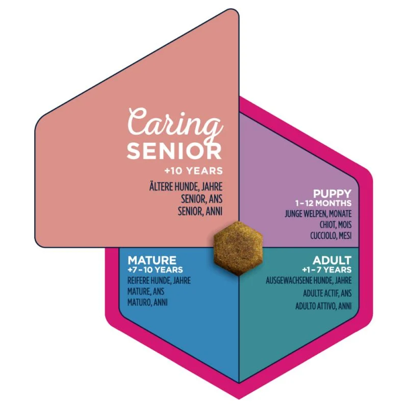 Eukanuba Senior Medium Breed - Image 2