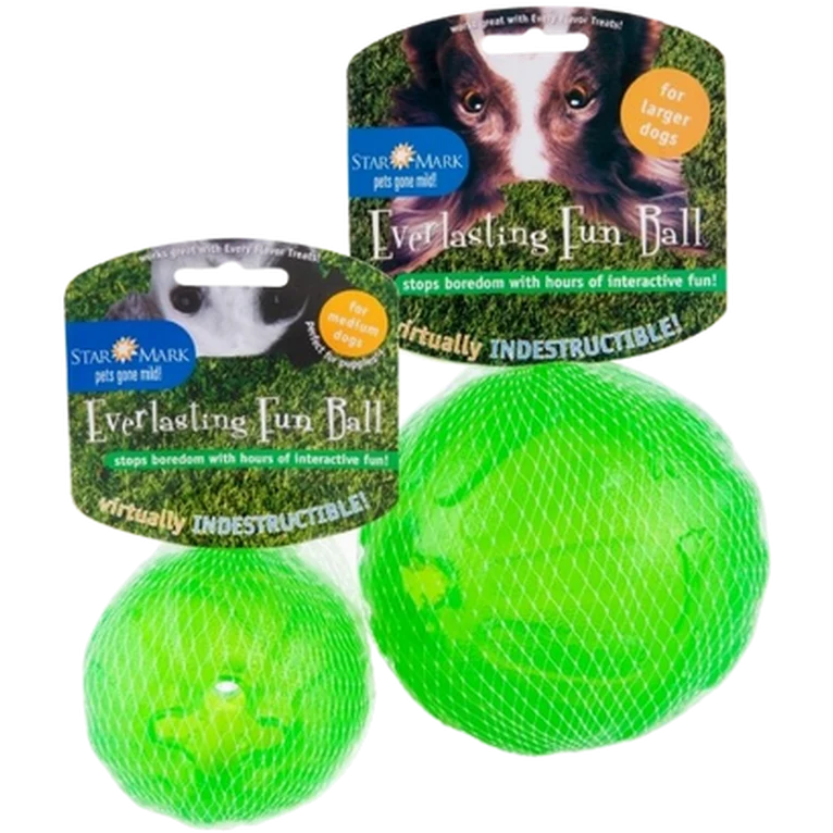 Everlasting Fun Ball