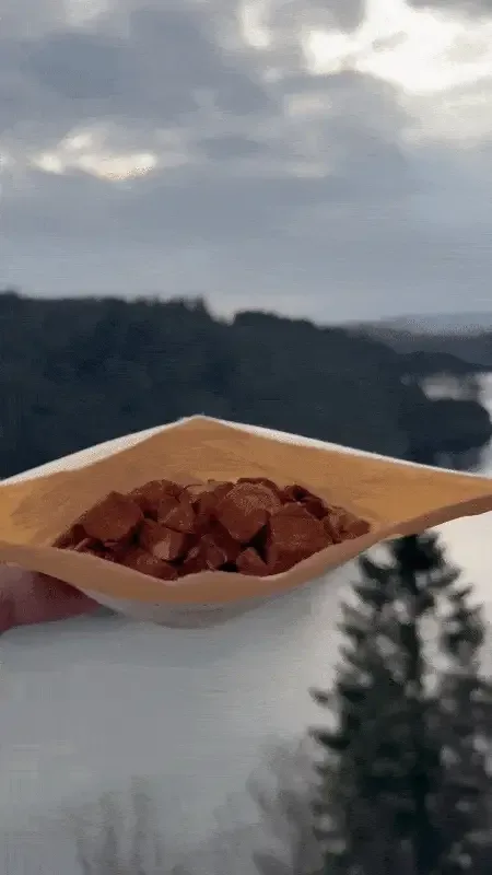 Extra wild venison 100g I Frysetørket finsk viltkjøtt – Hokuō™