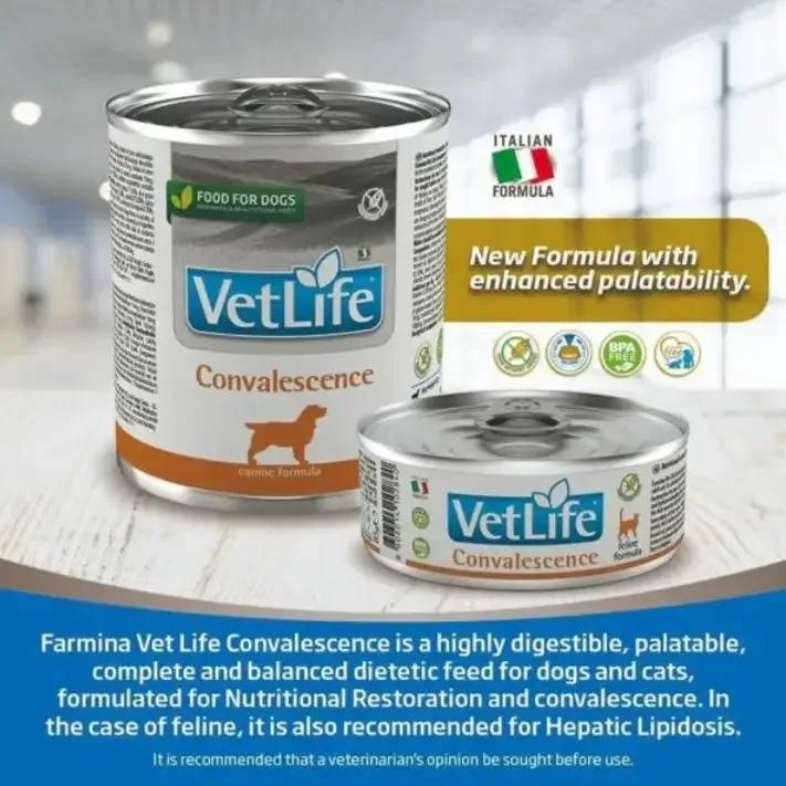 Farmina VetLife Convalescence Adult Dog