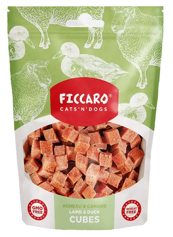 Ficcaro – Lam og andekuber