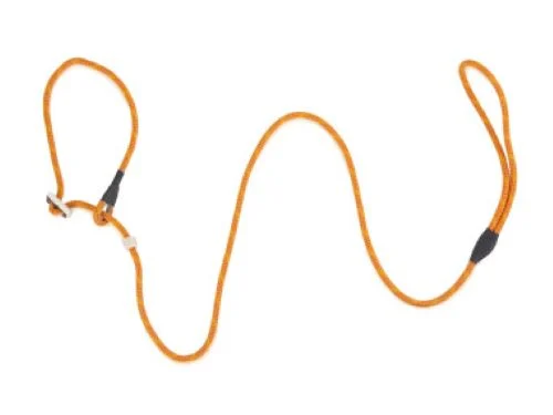 Firedog Moxon leash Classic 6 mm 150 cm med dobbel hornstopp - Image 2