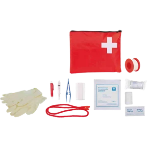 First Aid Kit for Cats & Dogs