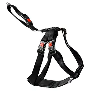 Flamingo Bilsele Xs25-40Cm