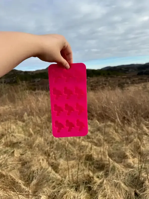 Flamingo isbitform | Isbitform til hund