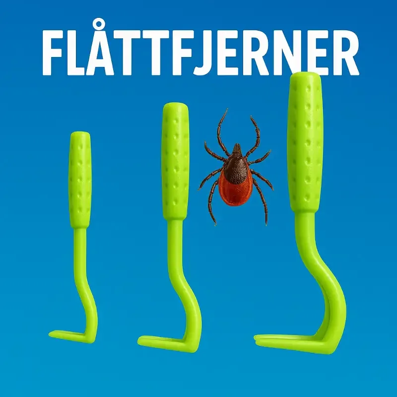 Flåttfjerner hund – Flått hund