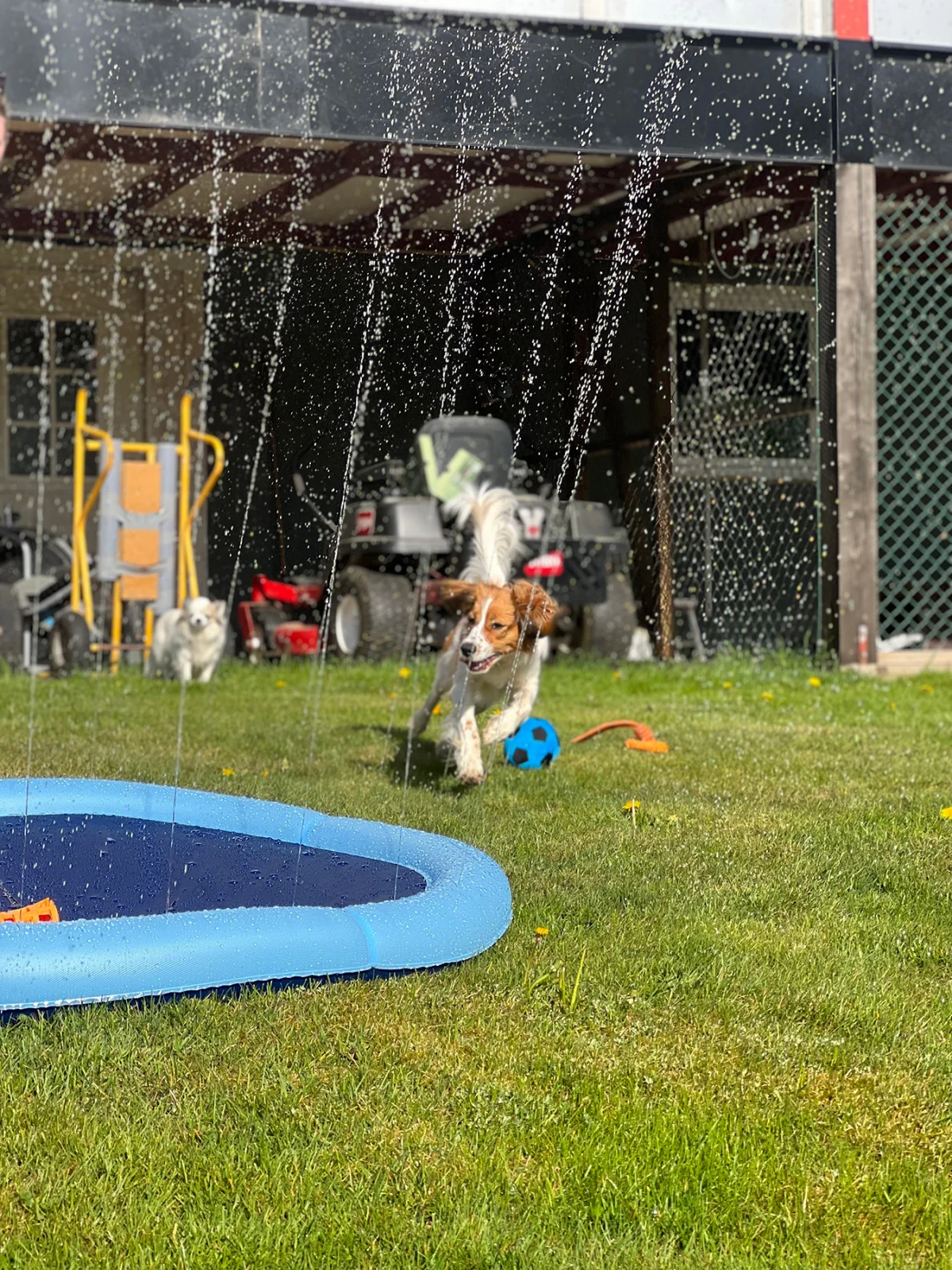 Fountain Pad - Image 2