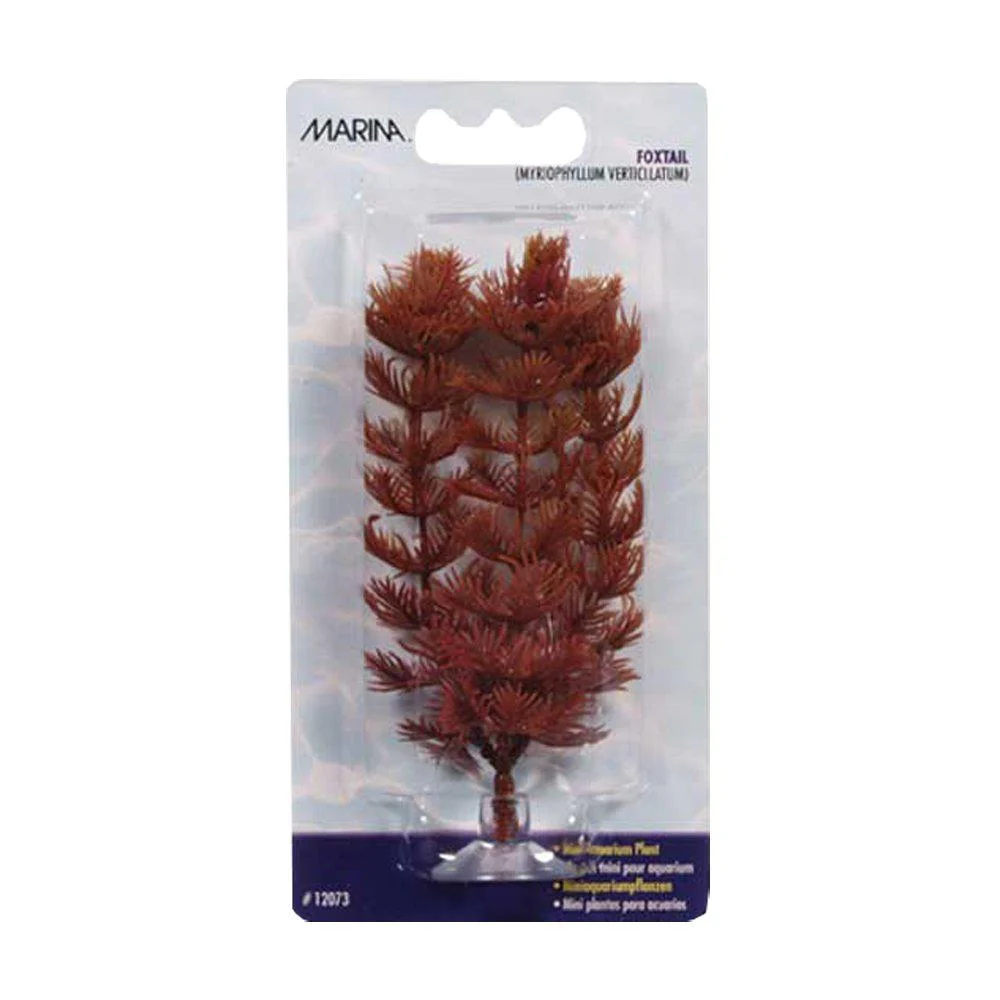 Foxtail Mini Med Sugkopp