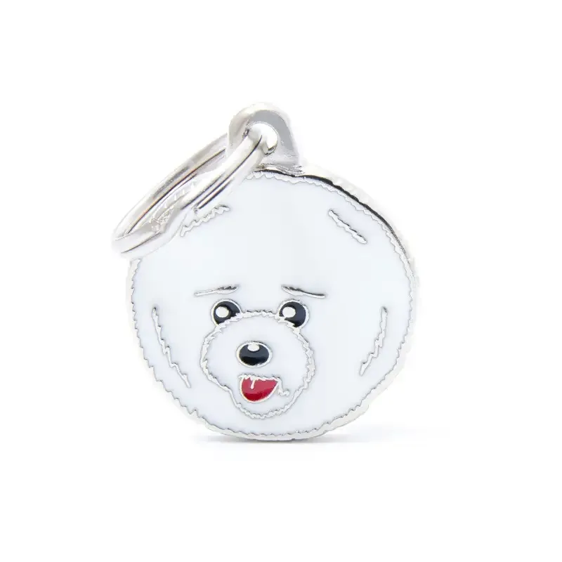 Friends – Bichon frisé
