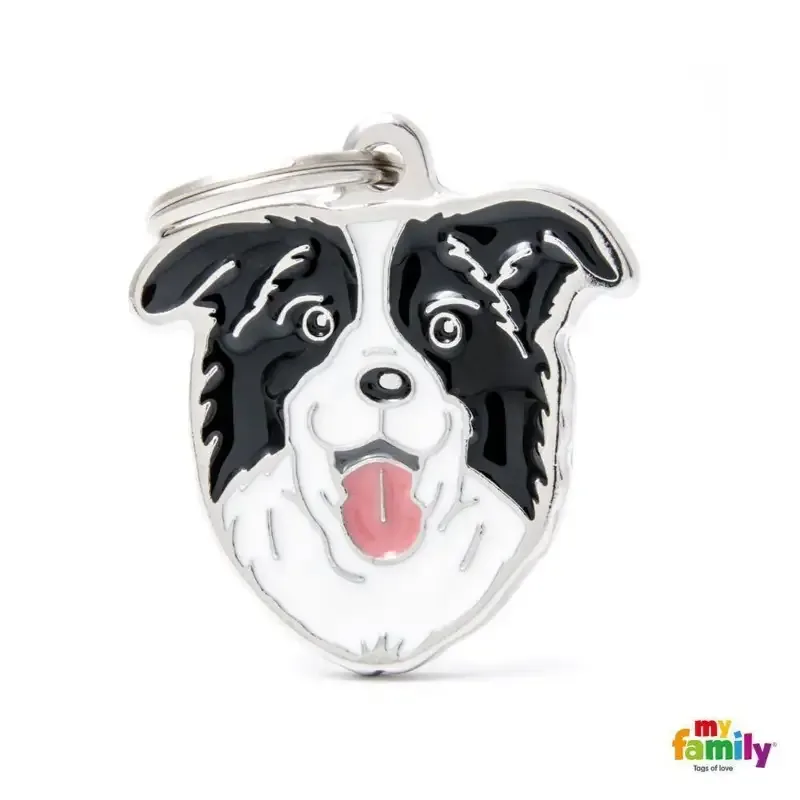 Friends – Border Collie