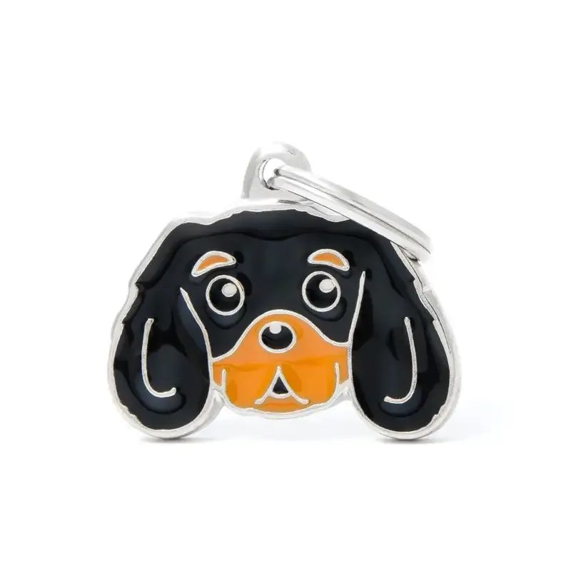 Friends – Cavalier King