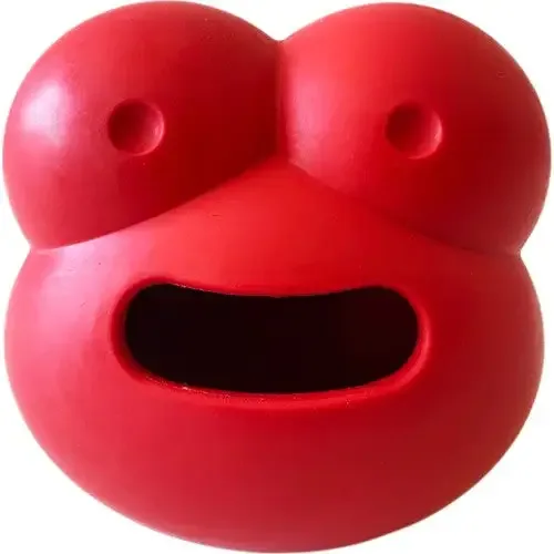 Frogg – Frosken Robert