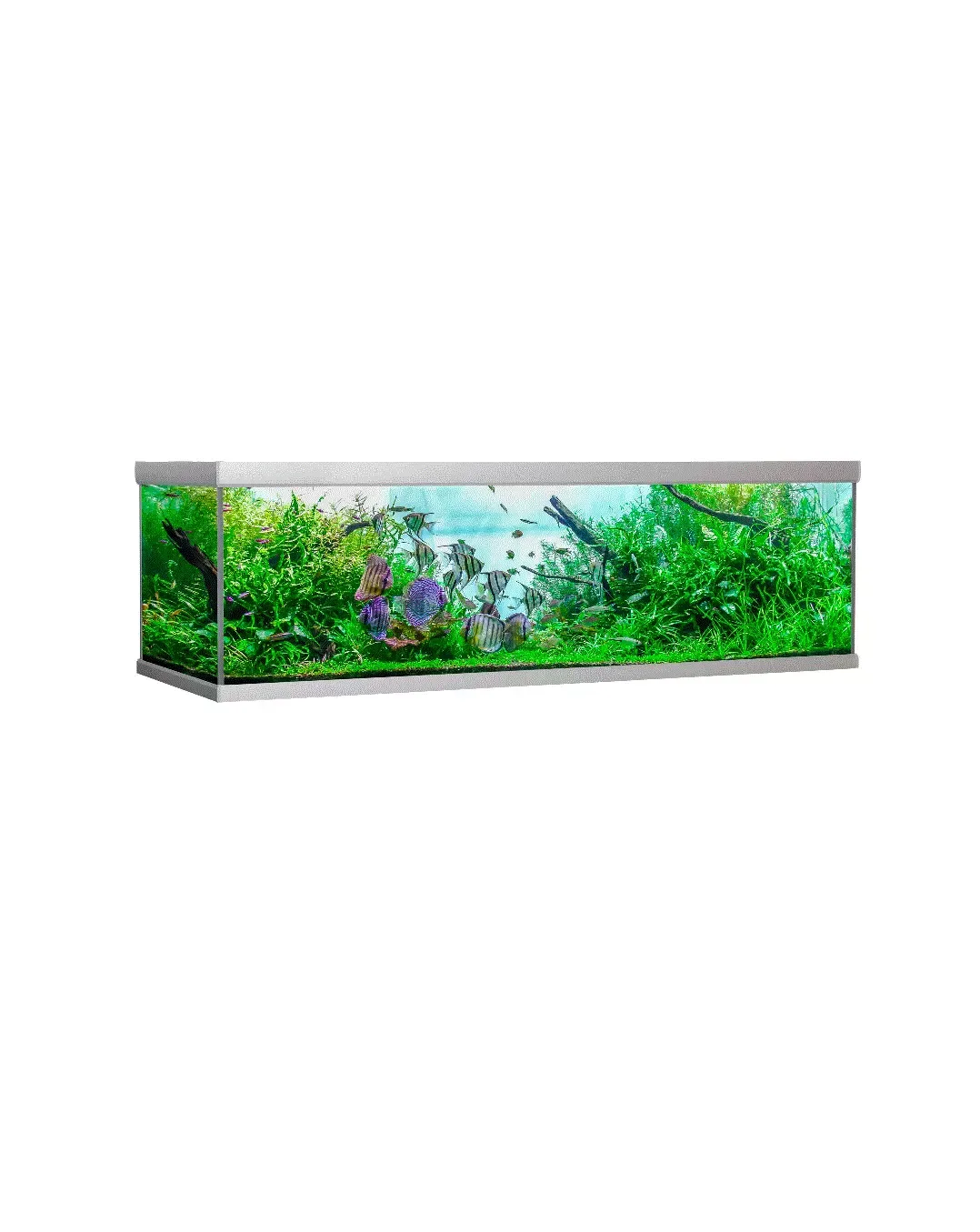 Fusion Akvarium 200X75X64 Cm, 900 L, Silver