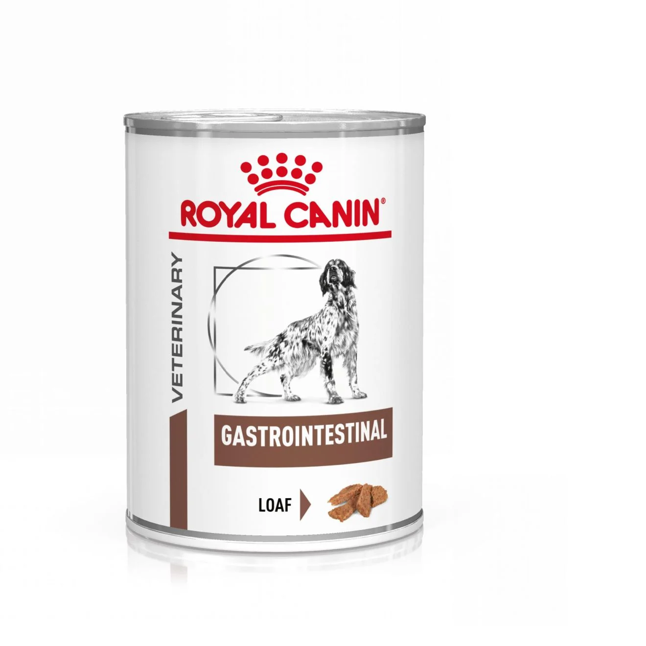 Gastrointestinal Loaf V氓tf么r for hunder