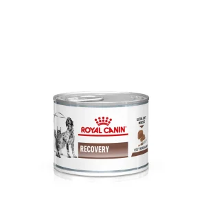 Gastrointestinal Recovery Ultra Soft Mousse V氓tf么r for katter og hunder