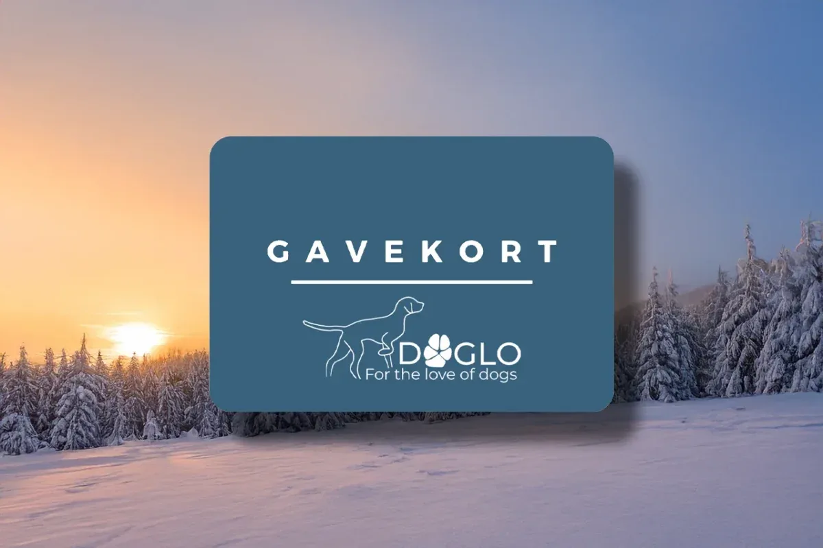 Gavekort