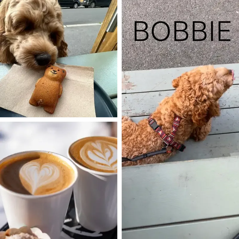 Gavekort | Bobbie