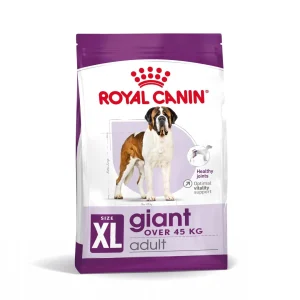 Giant Adult T酶rrf么r for hund 15kg