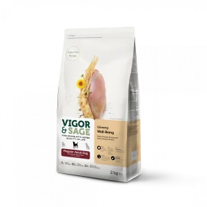 Ginseng Well-Being Regular Adult Dog