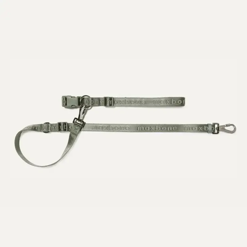 Go! Handsfree Leash Sage