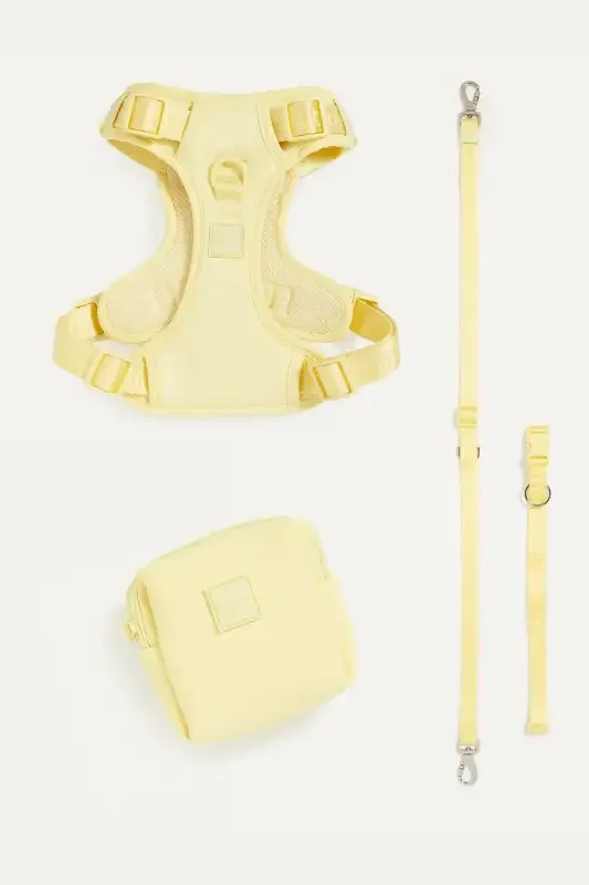 Go! With Ease Bundle Yellow