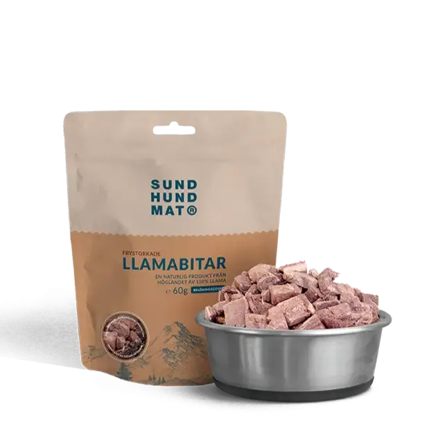 Godbiter av lama