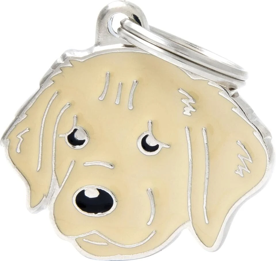 Golden retriever - Image 2