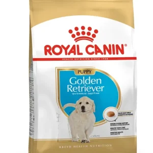 Golden Retriever Puppy T酶rrf么r for hund 12kg