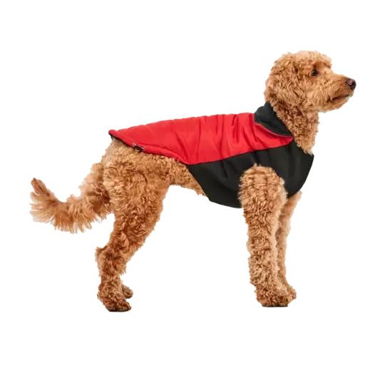 Goo-eez Mock Neck Signature Jacket Rød M