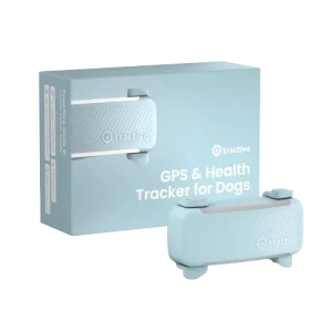 GPS-sporingsenhet for hund Dog 6 - Mint