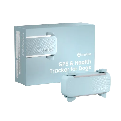 GPS-sporingsenhet for hund Dog 6 - Mint