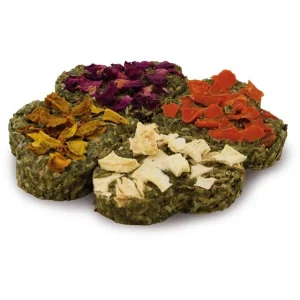 Grainless Quartet 60g