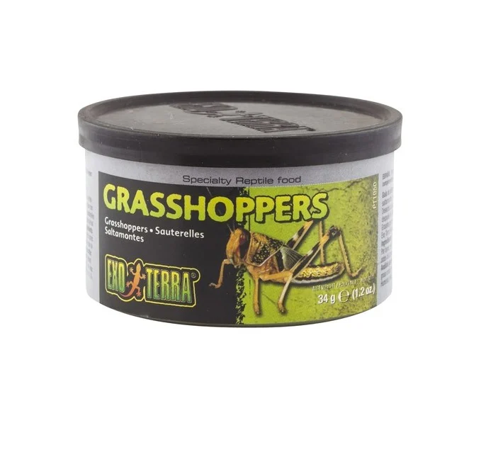GRASSHOPPERS ExoTerra, Hermetisk, 34g.