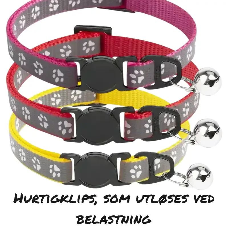 Halsbånd katt – Halsbånd med bjelle / Antifeste