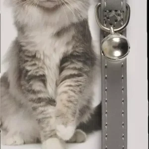 Halsband Reflex 30Cm Säkerhetsspänne & Bjällra