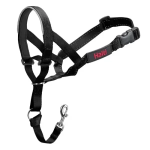 Halti Headcollar Grime
