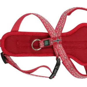 Hardanger tursele