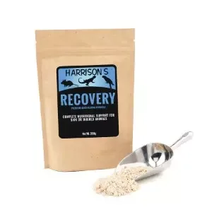 Harrison Recovery Formula 350gr (Hånd- oppmatningsfor)
