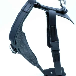 HEBRÜ protection harness with chest plate