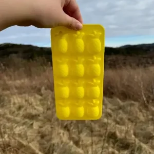 Helt ananas | Isbitform til hund