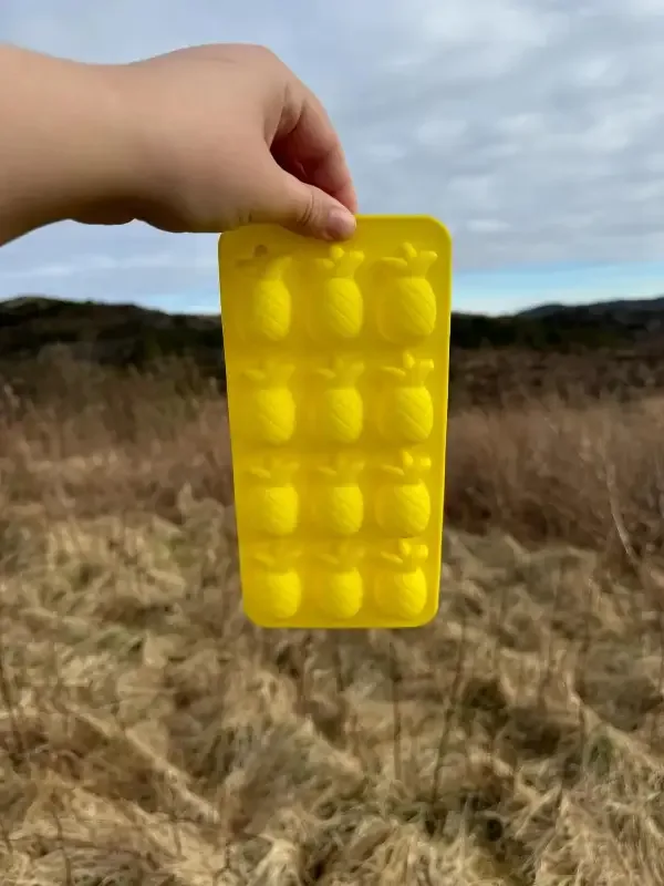 Helt ananas | Isbitform til hund