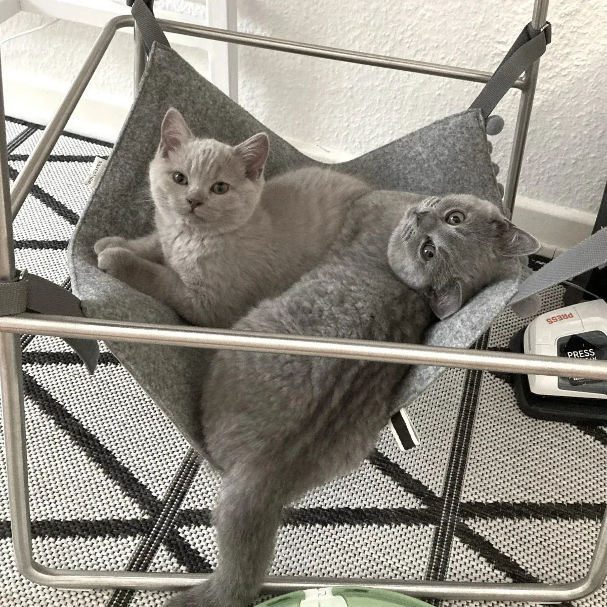 Hengekøye katt – katteseng til stol eller bord grå ull